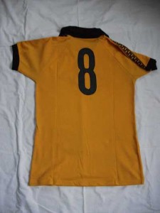 DynamoTrikot hinten